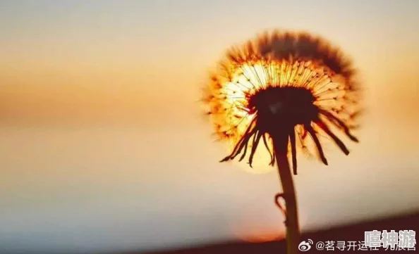 强开嫩花苞太紧了，如何在生活中找到平衡与放松的艺术，让心灵得到真正的释放与舒展？