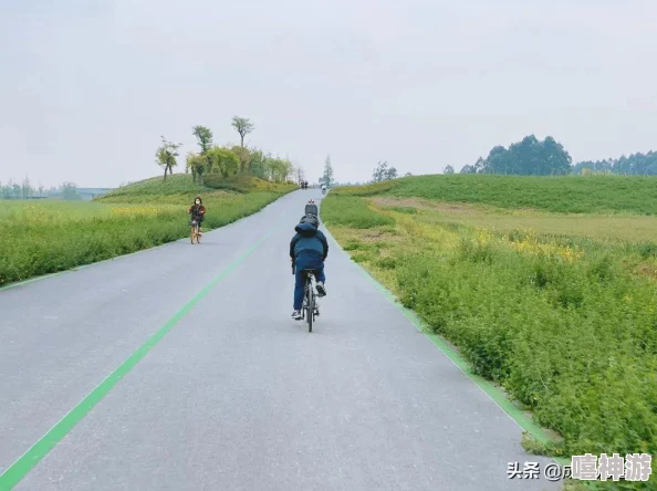 一前一后三个人一起骑自行车，享受阳光与微风，共同体验快乐的骑行时光，感受友谊的温暖与乐趣