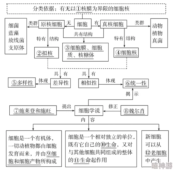 末发成年娇小性特征的生物学机制及其对社会适应性的影响研究与分析