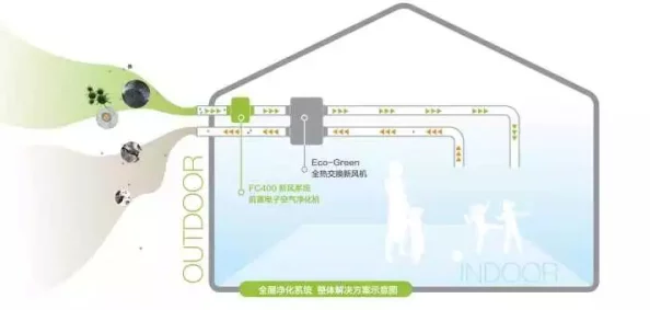 大坤巴塞嘴：最新进展揭示其在生态系统中的重要作用与保护措施的实施情况