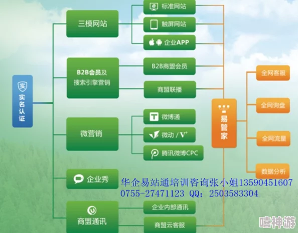 2024年b站推广入口大全：全面解析各种推广渠道与策略，助力创作者快速成长与吸粉