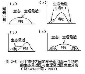 丰满多毛撒尿大隂户：新研究揭示其生理特征与生态适应性的重要性及影响