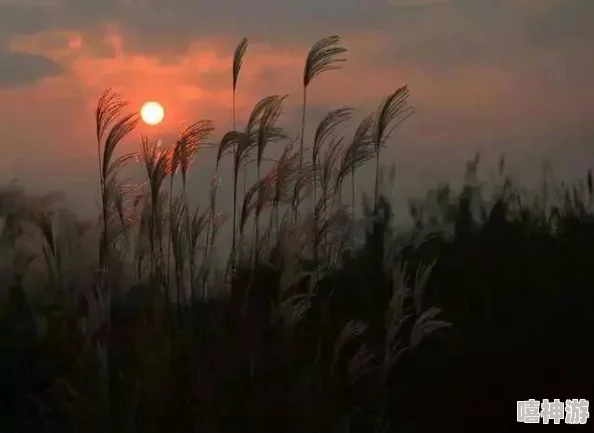 芦苇地里母亲说经典场景，竟被发现隐藏着不为人知的历史秘密，令人震惊的真相浮出水面！