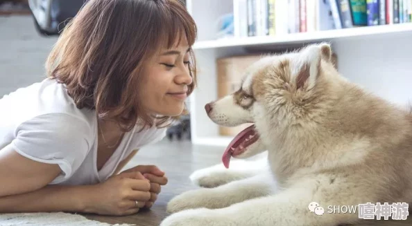 李然绳艺爱宠大机密珍惜与宠物的每一刻让爱与快乐常伴左右