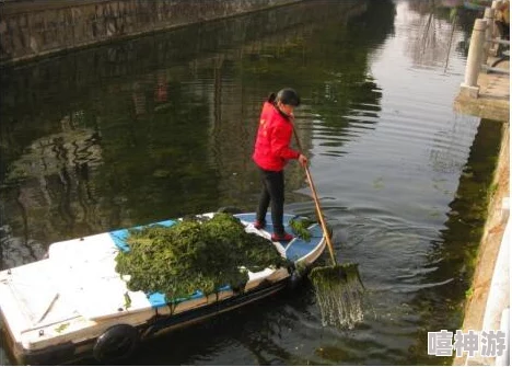 扣逼出水近日科学家发现新型水生植物能有效净化水质并改善生态环境